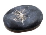 chrysanthemum stone $40 3x2.3x.75